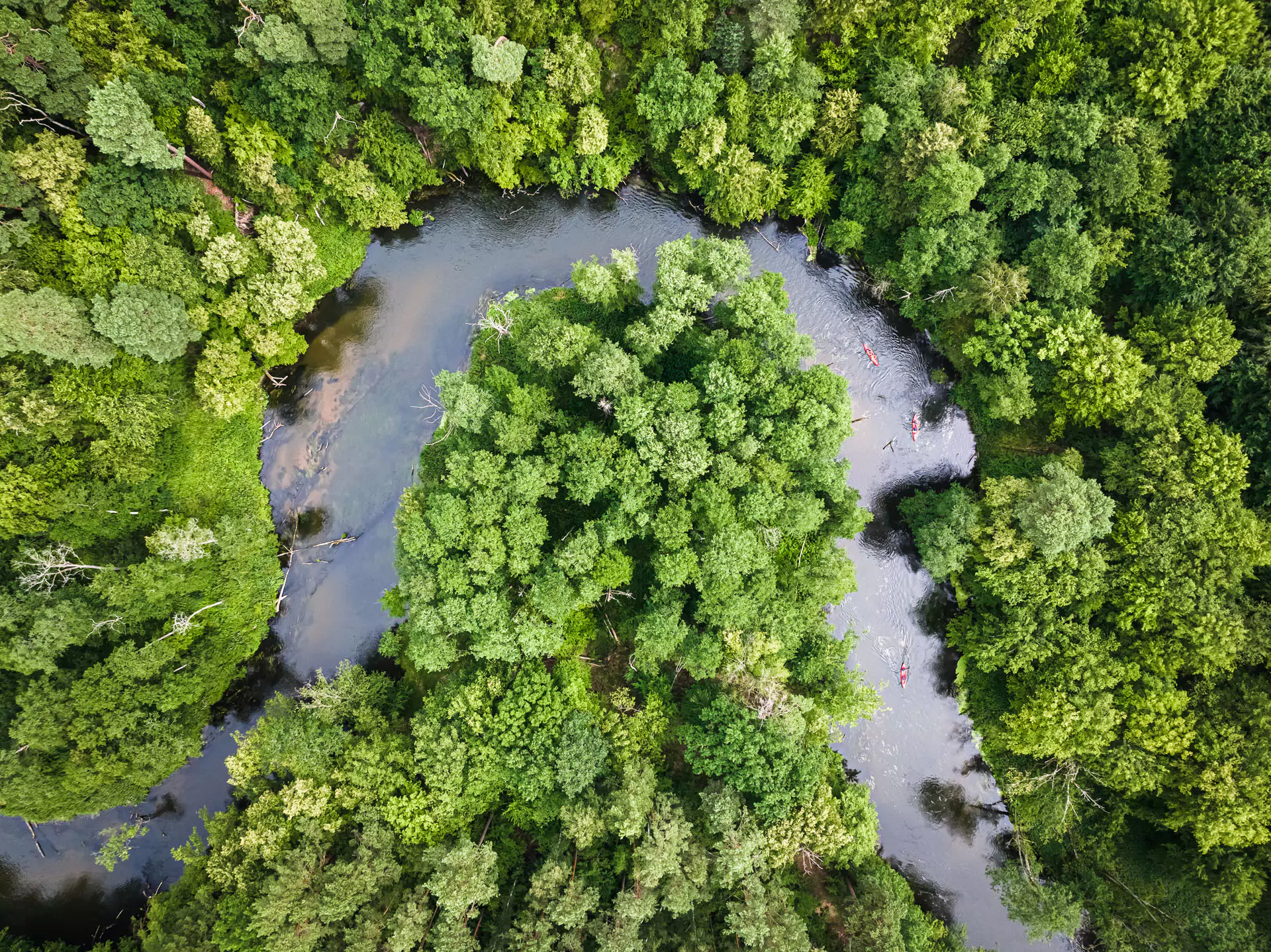 environmental-6719014252f54.webp